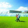 ��������. Sunway University. ����������