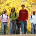 ����������� � ����� �����. SolBridge International School of Business - MBA