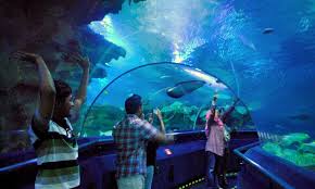 Aquaria malaysia