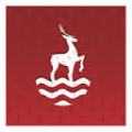 CARLSBAD INTERNATIONAL SCHOOL - ������������ ������������� �����-�������� � ������ ������. 